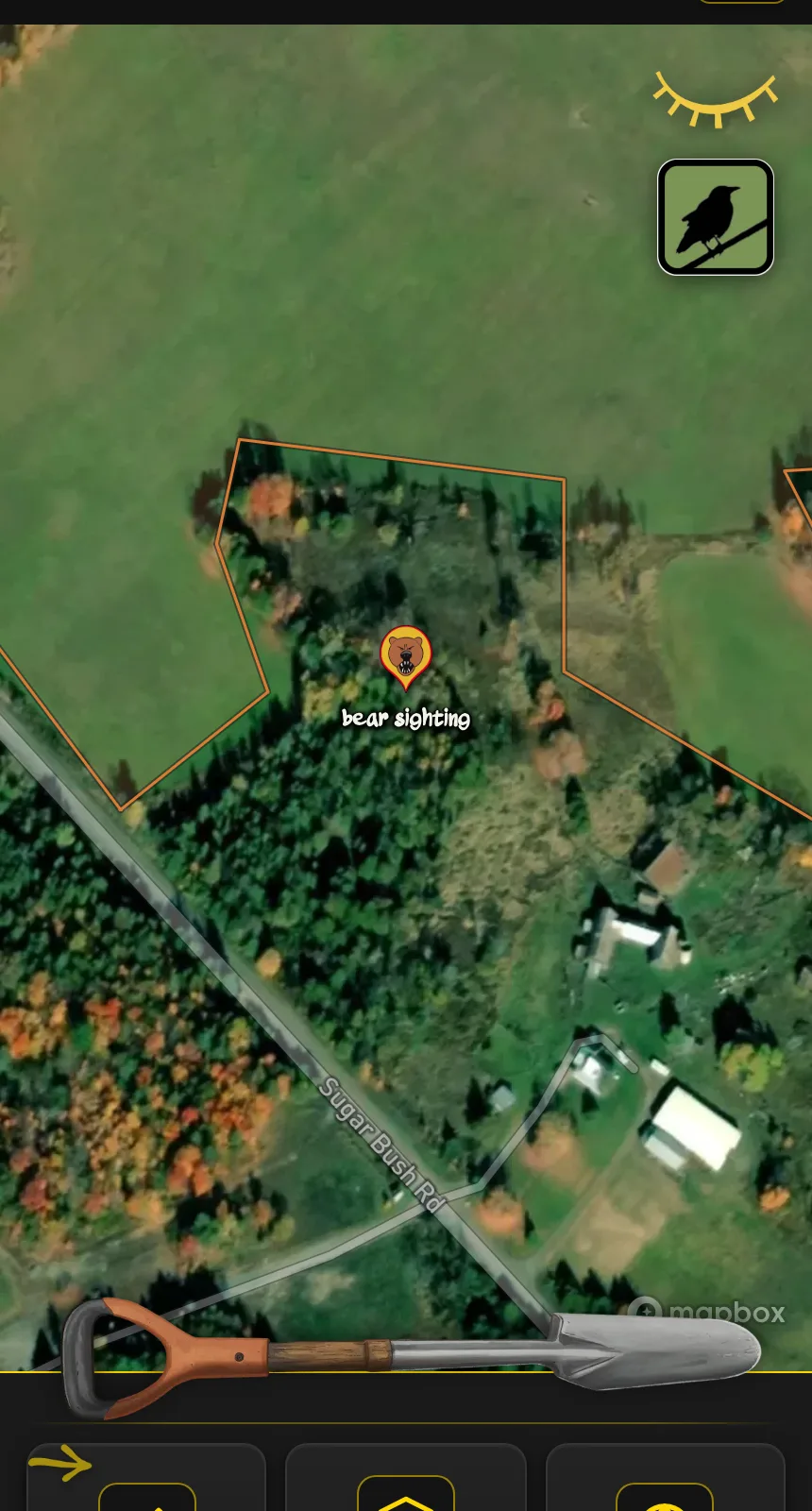 A bear pin labelled 'bear sighting' inside a block outline on satellite imagery